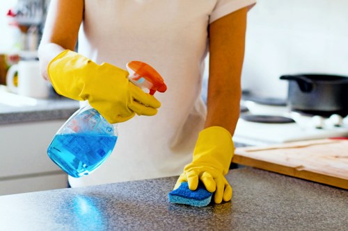 Local cleaner providing domestic cleaning in an NW8 flat