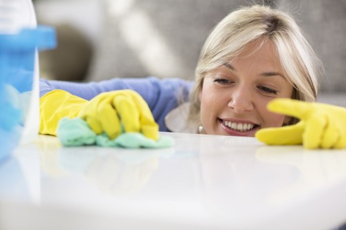 Regular domestic cleaning tasks in a St John’s Wood home