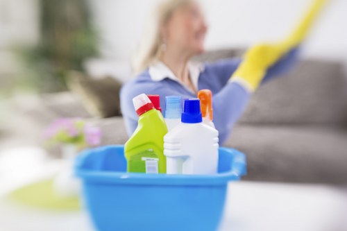Professional cleaners handling domestic and commercial cleaning in NW8
