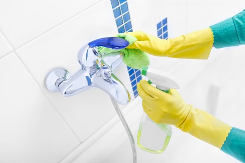 Deep cleaning oven racks and interior surfaces in NW8