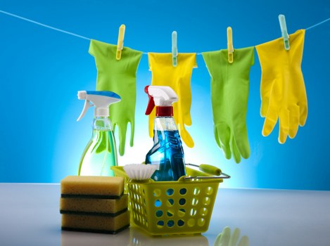Regular domestic cleaning for a flat in St John’s Wood NW8
