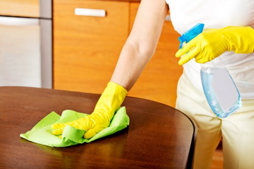 Professional cleaner carrying out a detailed kitchen clean in NW8